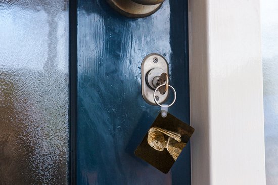 Porte-clés - Fille à la boucle d'oreille en perle - Peinture - Mosaïque - Cadeaux à distribuer - Plastique