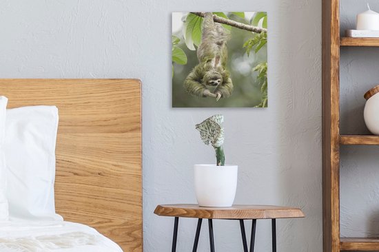 Peinture sur toile Un paresseux accroché dans les arbres à l'envers - 20x20 cm - Art Décoration murale