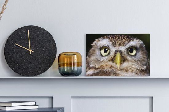 Tableau sur toile Gros plan d'un hibou marron - 30x20 cm - Décoration murale