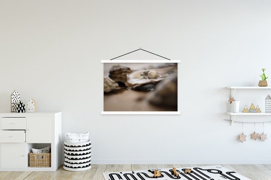 Affiche scolaire - Perle - Coquillage - Huître - 150x100 cm - Affiche textile Lattes Witte - Affiche textile