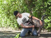 A Dog’s Tail Never Lies T-Shirt, Leuke Hondenbezitters Geschenken, Uniek Cadeau Voor Hondenliefhebbers, Unisex Zachte Stijl Tees, D001-041W, S, Wit
