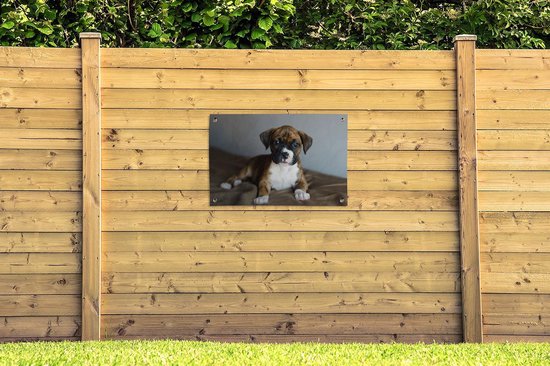 Affiche de jardin chiot Boxer couché sur un kussen 90x60 cm - Toile de jardin / Toile d'extérieur / Peintures pour l'extérieur (décoration de jardin)