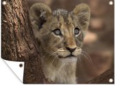 Décoration de Jardin Lion - Arbre - Animaux sauvages - 40x30 cm