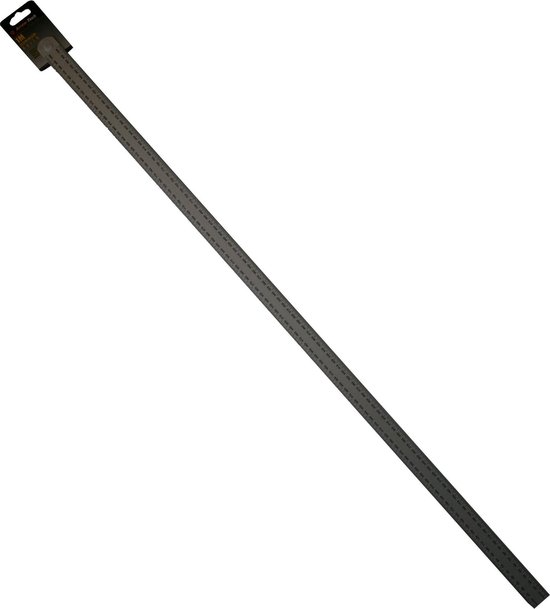 Benson RVS Liniaal - Lengte 100 cm