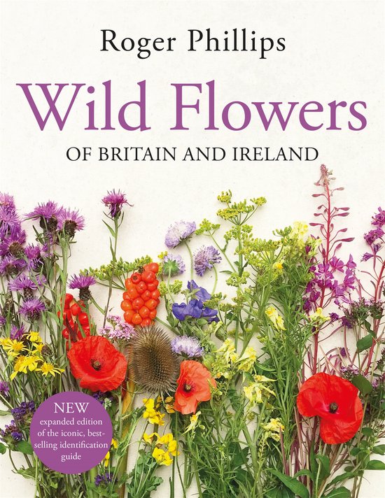 Wild Flowers - cover