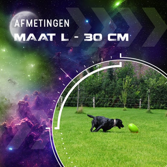 Zwarte hond speelt met een groene ovale Dog Comets bal, maat L, 30 cm groot.