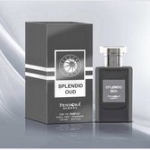 Pendora Scents Splendid Oud Eau de Parfum 100ml (Clone of Tom Ford Oud Wood)