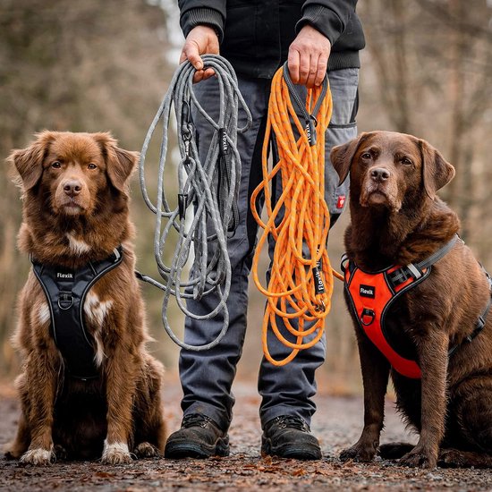 Floxik Looplijn voor honden, 5 m, 10 m, 15 m, 20 m, oranje