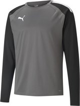 Puma Teamliga Sweater Heren - Grijs | Maat: XL