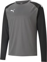 Puma Teamliga Sweater Heren - Grijs | Maat: XXL