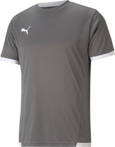 Puma Teamliga Shirt Korte Mouw Kinderen - Grijs / Wit | Maat: 116