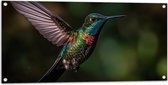 Tuinposter – Vogel - Kleuren - Dier - Vliegen - Natuur - 100x50 cm Foto op Tuinposter (wanddecoratie voor buiten en binnen)