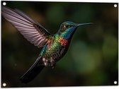 Tuinposter – Vogel - Kleuren - Dier - Vliegen - Natuur - 80x60 cm Foto op Tuinposter (wanddecoratie voor buiten en binnen)