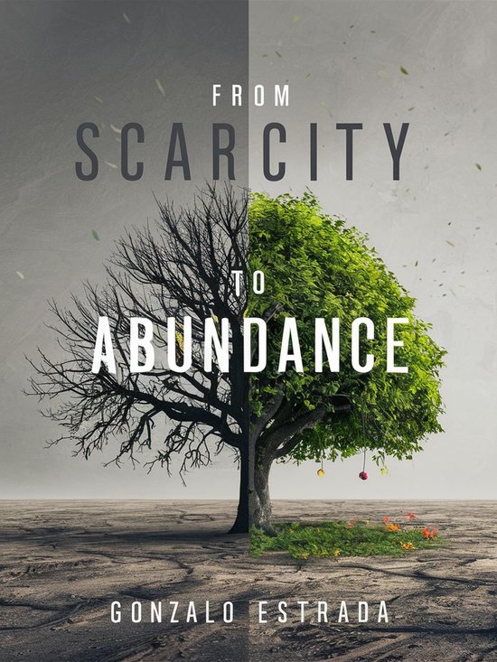 From Scarcity to Abundance - cover