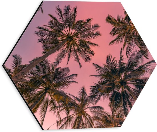 Dibond Hexagon - Palmbomen - Tropisch - Kleuren - Roze - Onderaanzicht - 30x26.1 cm Foto op Hexagon (Met Ophangsysteem)