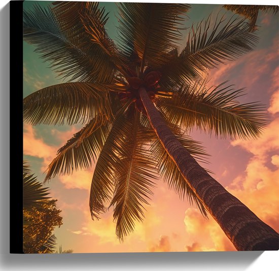 Canvas - Onderaanzicht - Palmbomen - Kleuren - 40x40 cm Foto op Canvas Schilderij (Wanddecoratie op Canvas)