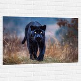 Muursticker - Panter -Zwart - Dier - Wid - 120x80 cm Foto op Muursticker