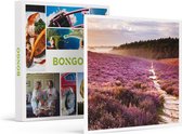 Bongo Bon - 2 ONTSPANNEN DAGEN OP DE VELUWE - Cadeaukaart cadeau voor man of vrouw