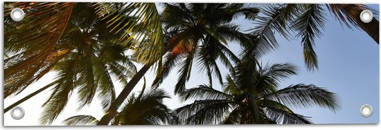 Tuinposter – Palmbomen - Tropisch - Zon - 60x20 cm Foto op Tuinposter (wanddecoratie voor buiten en binnen)