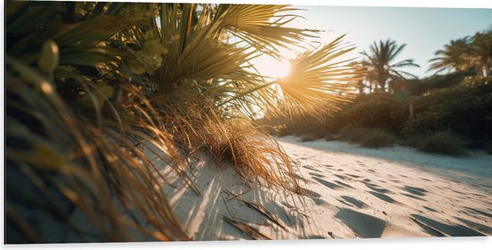 Dibond - Zon - Palmbomen - Planten - Zand - 100x50 cm Foto op Aluminium (Wanddecoratie van metaal)