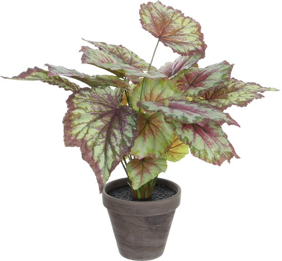 Mica Decorations Begonia Kunstplant in Bloempot Stan - H40 x Ø38 cm - Rood