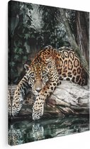 Artaza Canvas Schilderij Jaguar Rust op een Boomstam - 90x120 - Wanddecoratie - Foto Op Canvas - Canvas Print