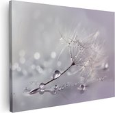 Artaza Canvas Schilderij Waterdruppels op een Paardenbloem - 120x90 - Wanddecoratie - Foto Op Canvas - Canvas Print