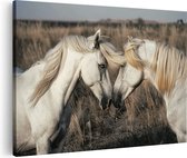 Artaza Canvas Schilderij Twee Witte Paarden in een Veld - 90x60 - Wanddecoratie - Foto Op Canvas - Canvas Print