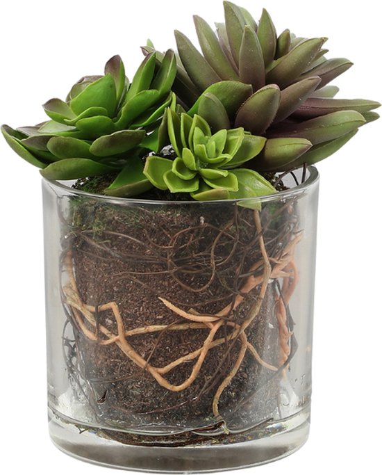 Kunstmatig vetplant arrangement in een transparante groene vaas H17