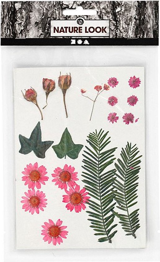 Fleurs et feuilles séchées, 19 div, rouge clair