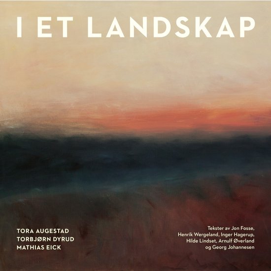 Eick Dyrud & Augestad - I Et Landskap (CD)