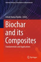 Materials Horizons: From Nature to Nanomaterials - Biochar and its Composites