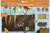 Radis et Capucine-Vivarium-wormenobservatie