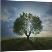 Vlag - Landschap - Natuur - Boom - 100x100 cm Foto op Polyester Vlag
