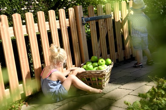 Clôture Intergard Douglas 80x180cm