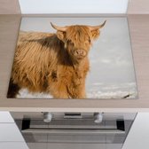 Inductiebeschermer blonde hooglander | 57.6 x 51.6 cm | Keukendecoratie | Bescherm mat | Inductie afdekplaat