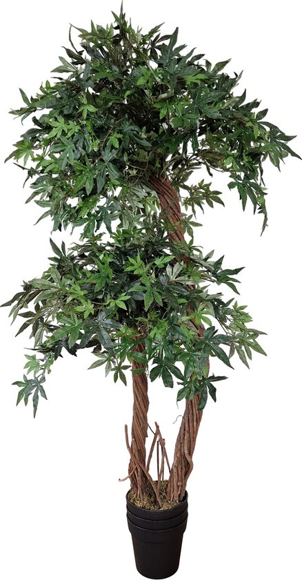 Kunst Esdoornplant Dubbele Stam | 165cm - Kunstplant met hout - Namaak esdoornplant - Kunstplanten voor binnen - Kunstplant esdoorn