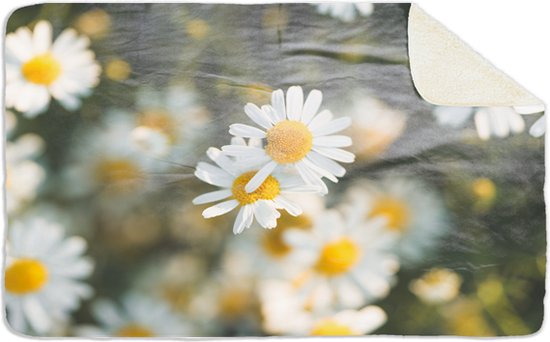 Fleecedeken Daisy bloemen, 96x146cm, Polyester Sherpa, deken met print