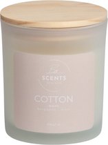 ByScents Cotton Geurkaars - 200g- 40 branduren