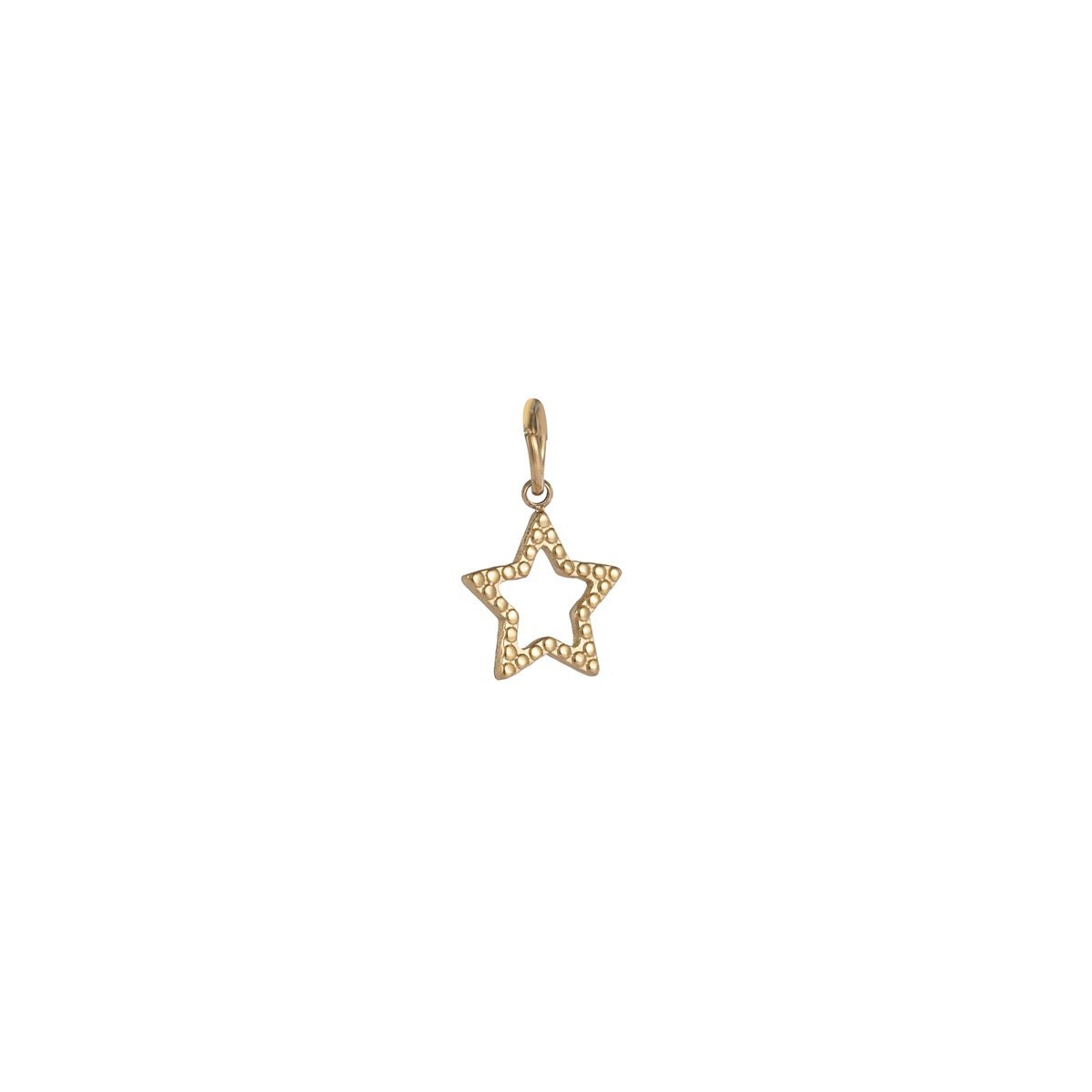 Go Dutch Label Hanger open star Goud