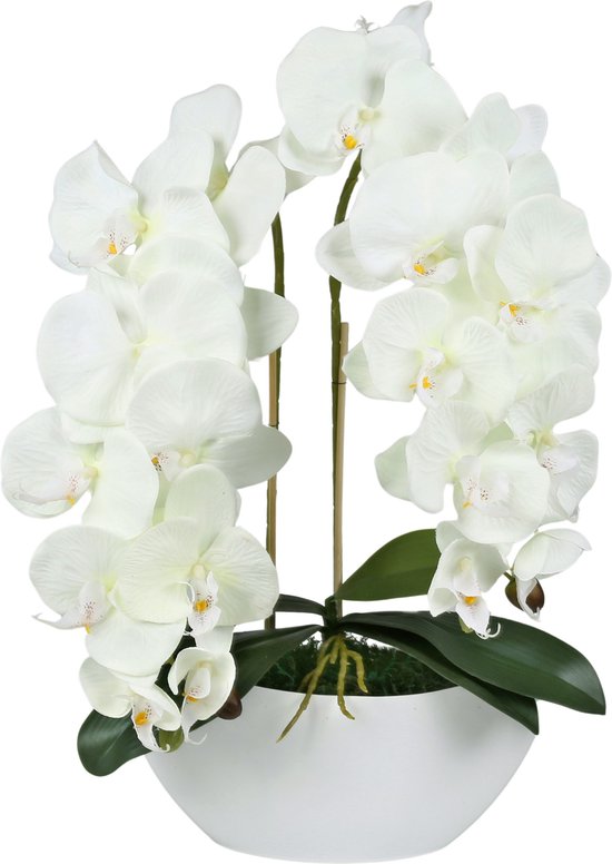 Kunstmatige Orchidee in Pot, Ecru, Levensecht, 2 Stelen 53 cm