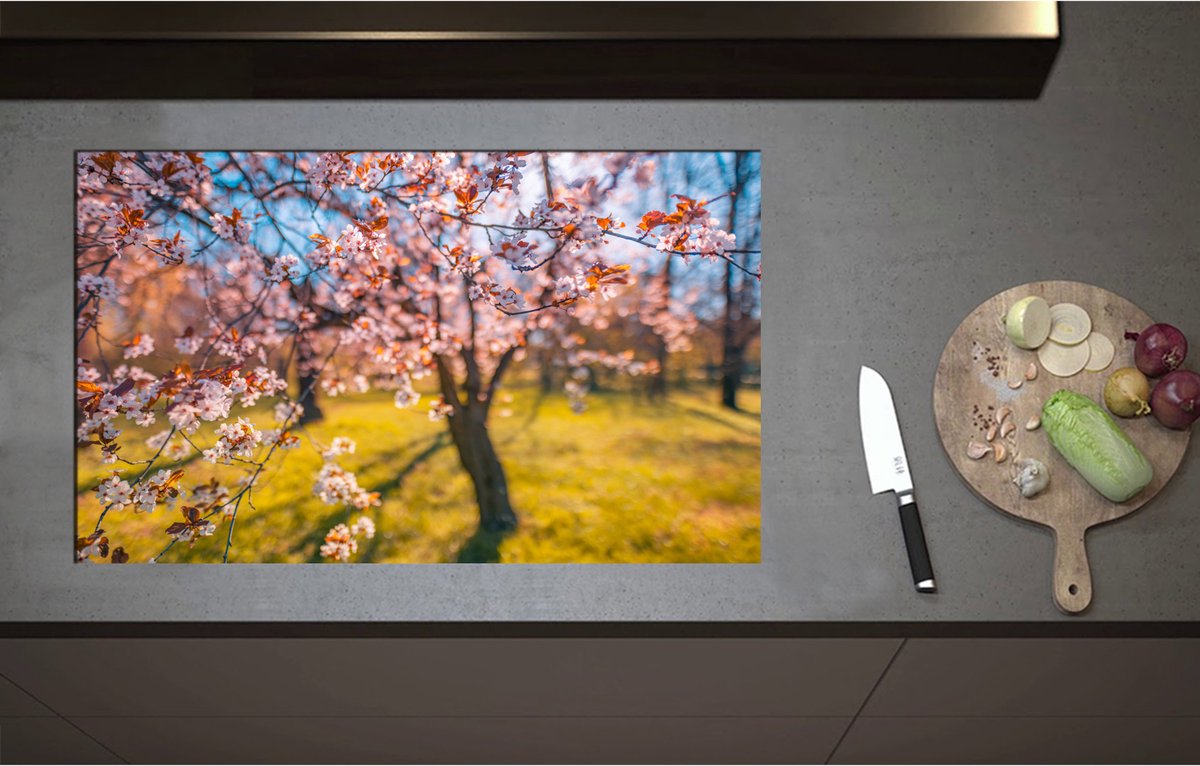 Inductieplaat Beschermer - Bloeiende Bloesem aan Boom in het Park - 85x52 cm - 2 mm Dik - Inductie Beschermer - Bescherming Inductiekookplaat - Kookplaat Beschermer van Zwart Vinyl