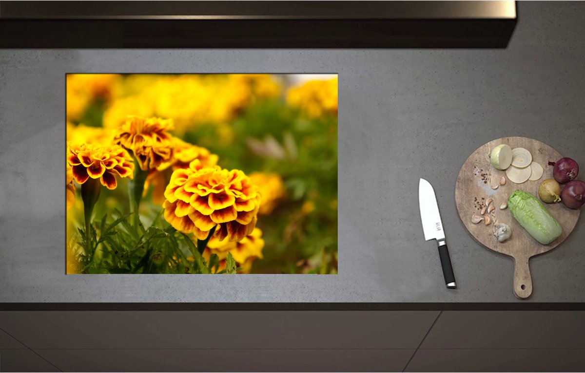 Inductieplaat Beschermer - Bloemenveld Vol Gele Afrikaantjes - 70x52 cm - 2 mm Dik - Inductie Beschermer - Bescherming Inductiekookplaat - Kookplaat Beschermer van Wit Vinyl