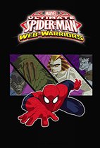 Marvel Universe Ultimate Spider-Man Web