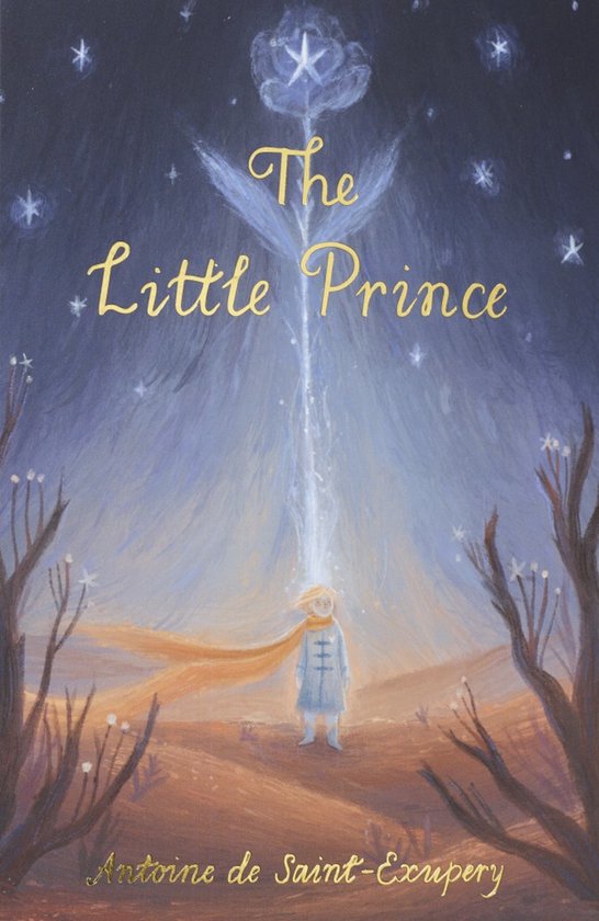 Foto: The little prince