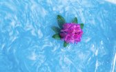 Magische badpoeder Sensus lotus Ocean blue 250gr