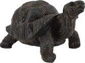 Realistische schildpad van polyresin - Handgeschilderd beeldje - Ingewikkelde details Geschikt voor gebruik binnen en buiten - Vorst- en lichtbestendig