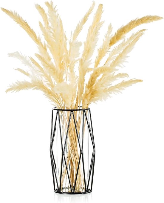 Glazen bloemenvaas met geometrische metalen rekstandaard, kristalheldere terraria plantenbak, knop glazen vazen voor bloemen hydrocultuur plant, middelpunt voor thuiskantoor bruiloft, zwart, 8,5 inch hoogte