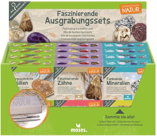 Foto: Moses verlag expeditie natuur mini uithakset 6 assorti