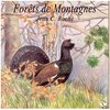 Various Artists - Forets De Montagne (CD)
